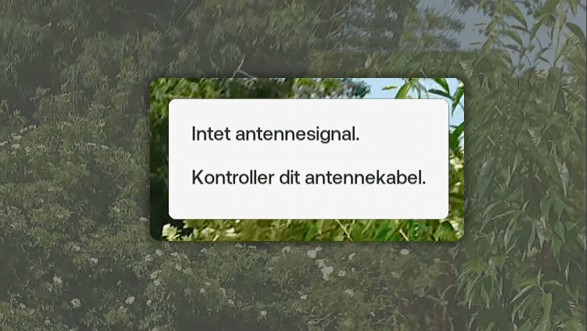 Fejlbesked med teksten: "Intet antennesignal. Kontroller dit antennekabel".