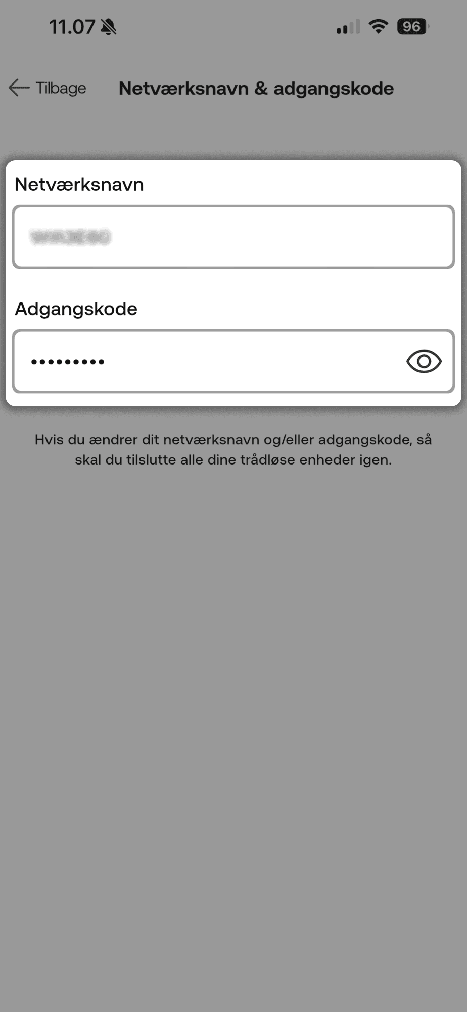 Side med Netværksnavn og adgangskode åben, hvor netværksnavn er vist i et tekstfelt, og adgangskode er skjult med prikker samt ikon til at få vist koden.