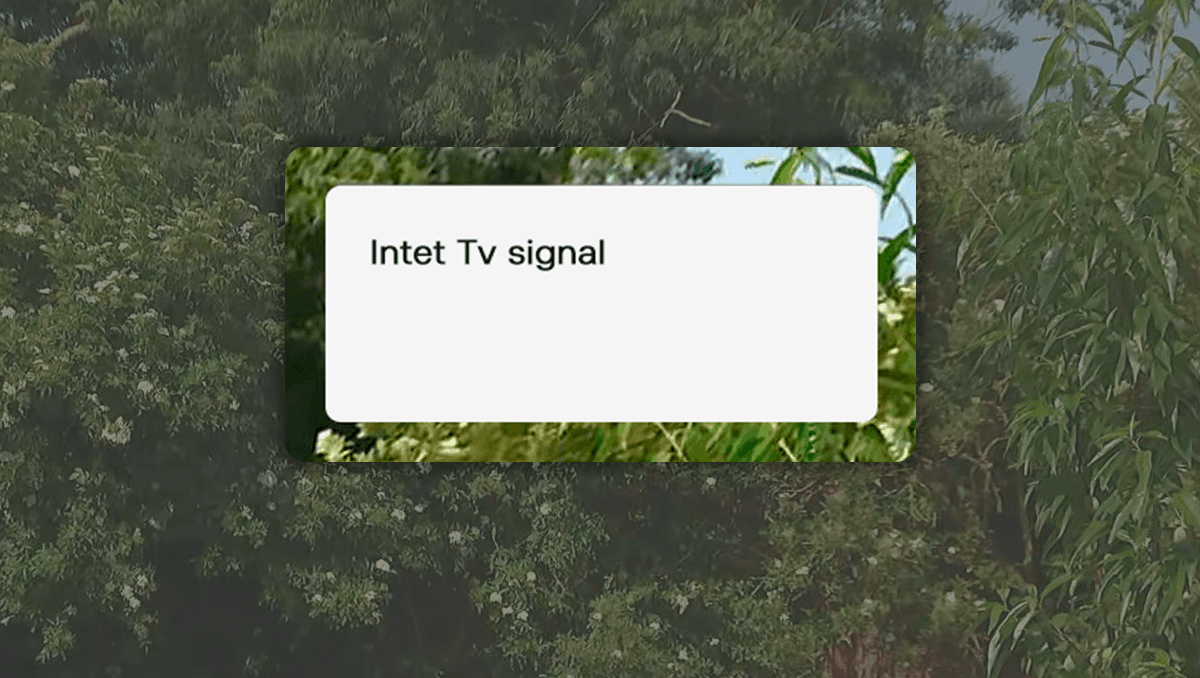 Fejlbesked med teksten: "Intet Tv signal".