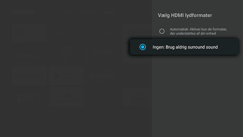 Ingen-eller-hakkende-lyd-på-Audio-image 05